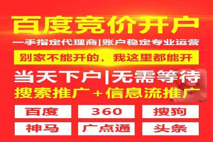 百度联盟推广网络覆盖的案例研究